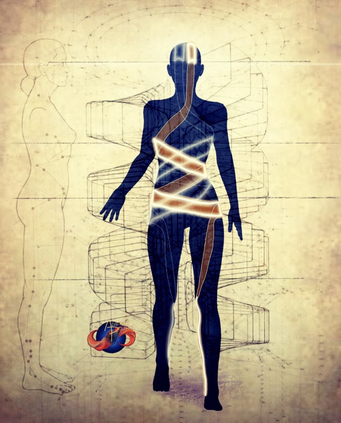 Fascia wrapping around the body