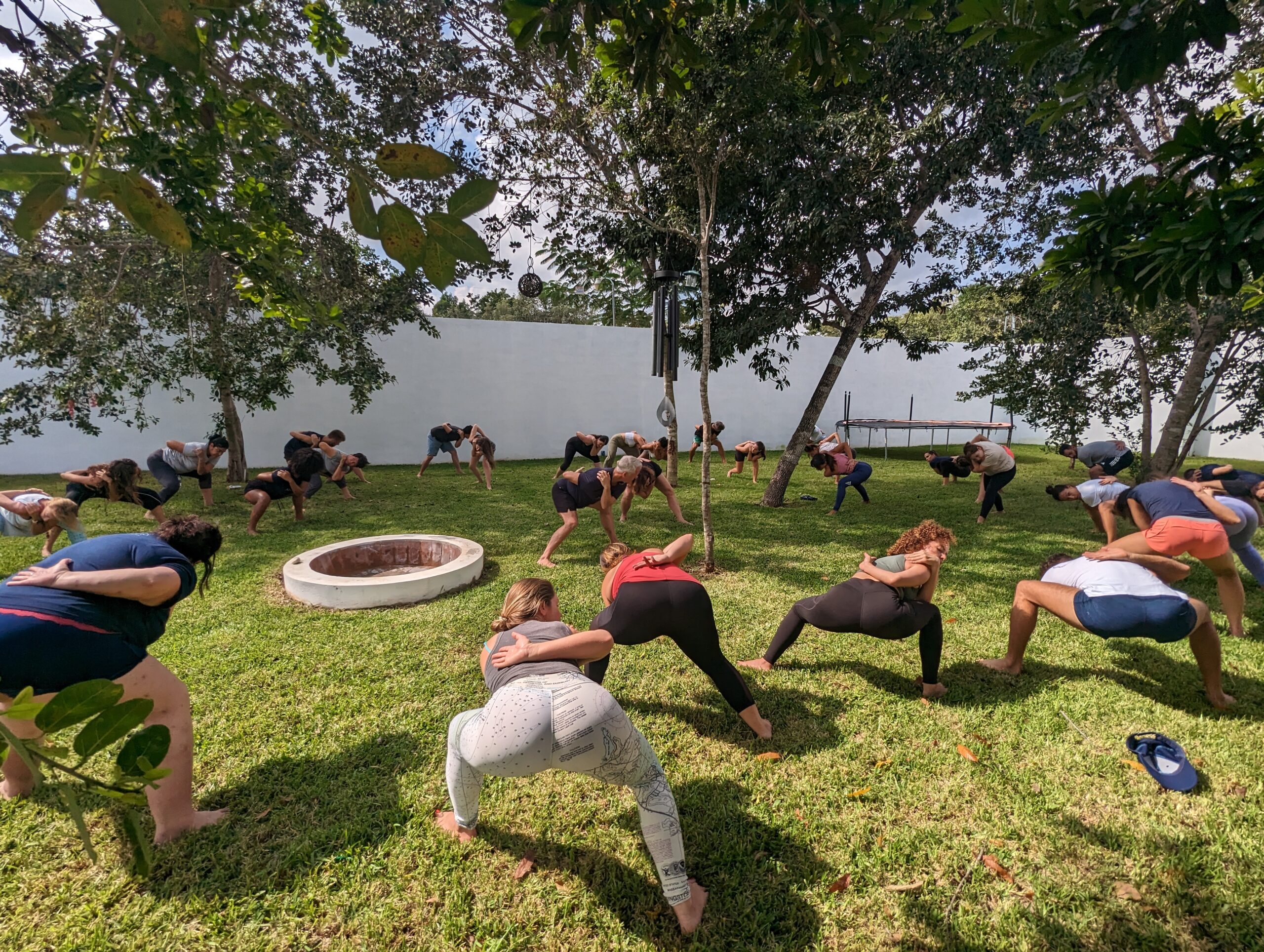 fascial maneuvers class fascial maneuver