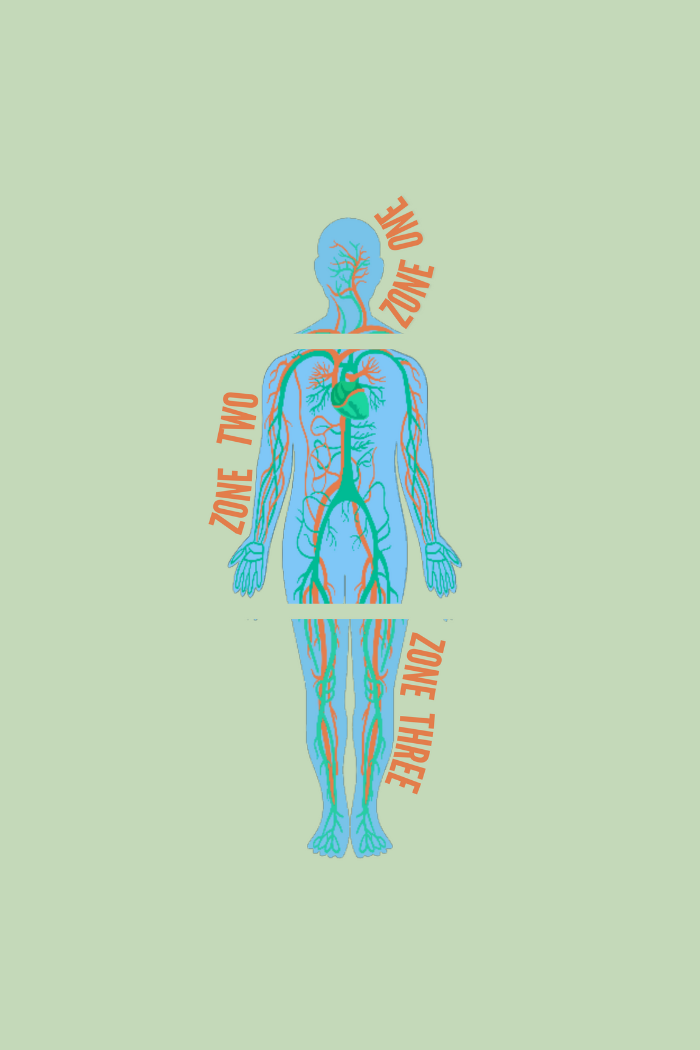zones of the body