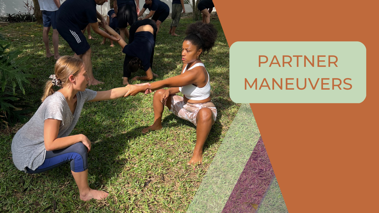 partner maneuvers, Isabella and Zary