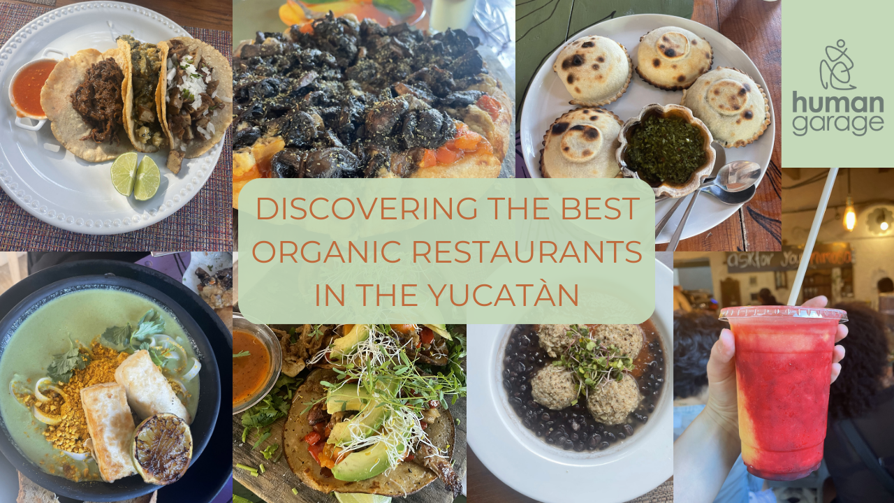 Discovering the Best Organic Restaurants in the Yucatan