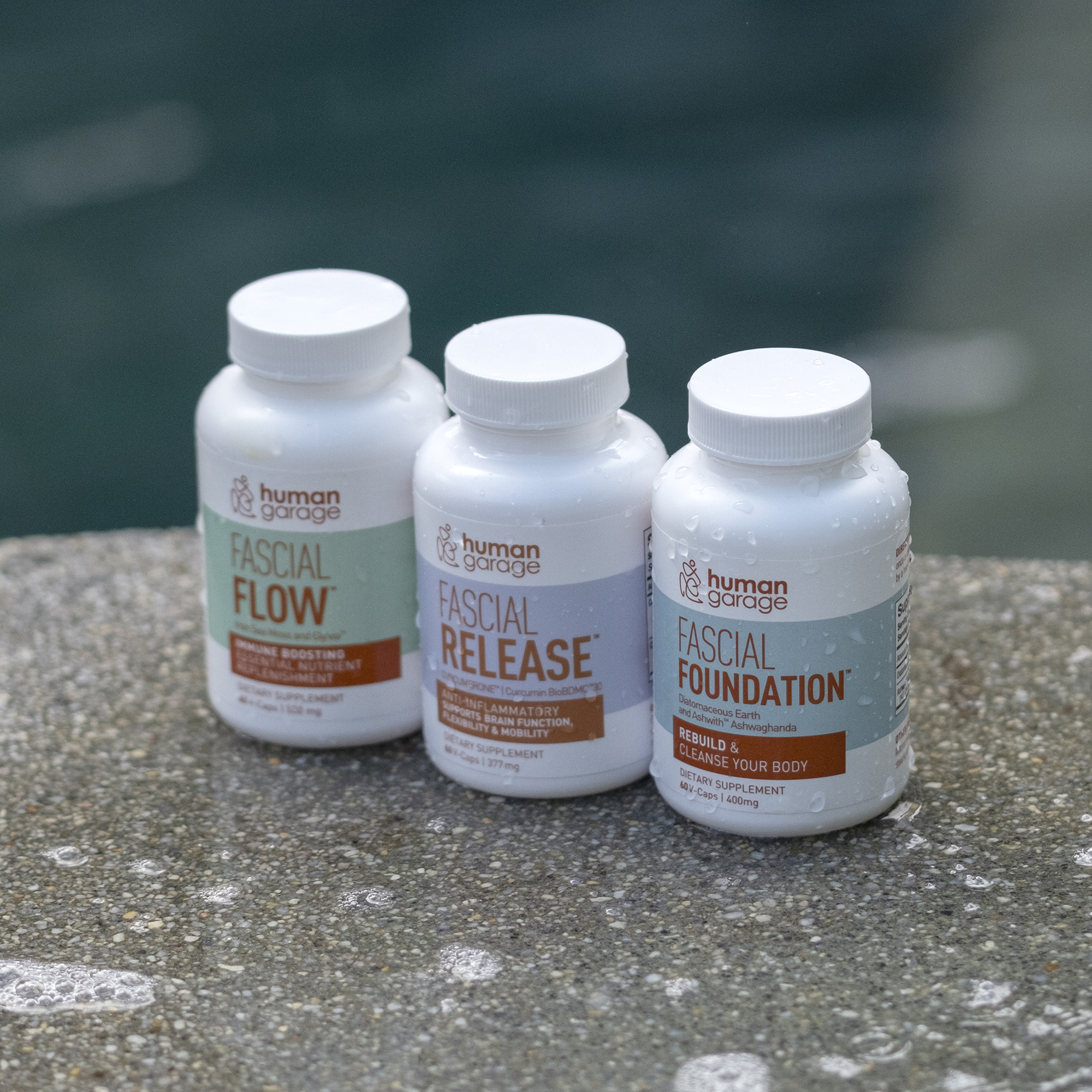 Fundamental Package Plus (Only Available For Purchase In The USA)